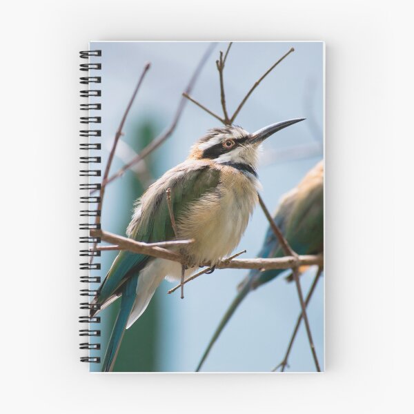 Artikelvorschau, Weiß-Throated Bienen-Esser-Vogel auf einer Niederlassung entworfen und verkauft von bittervictory.
