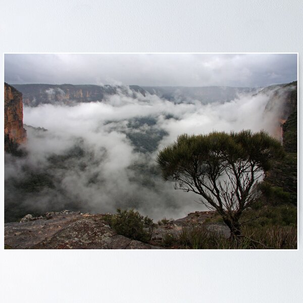 Item preview, Grose Valley in the Morning Mist designed and sold by Geoff Smith.