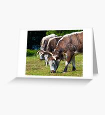 The Three Amooogos Greeting Card