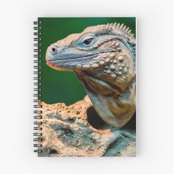 Artikelvorschau, Leguan auf einem Felsen entworfen und verkauft von bittervictory.