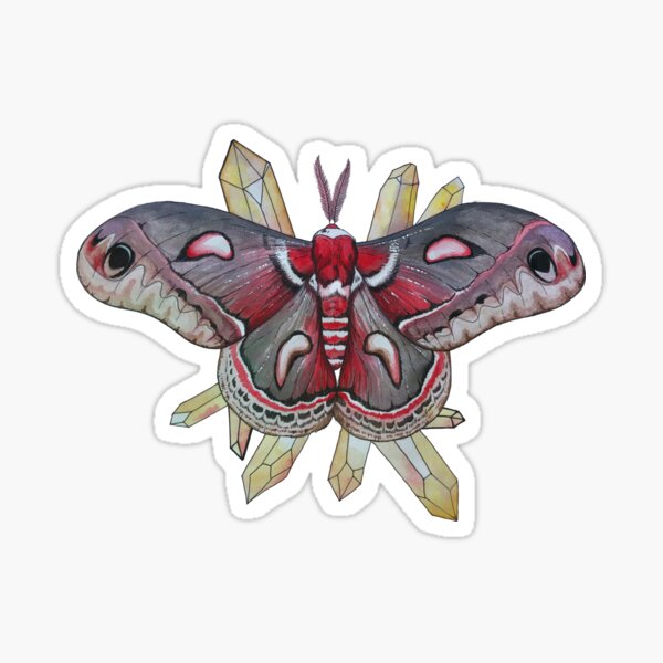 Cecropia Moth and Citrine Crystals, Watercolor Hyalophora cecropia Sticker