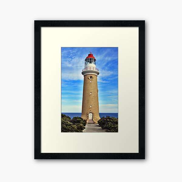 Framed Print