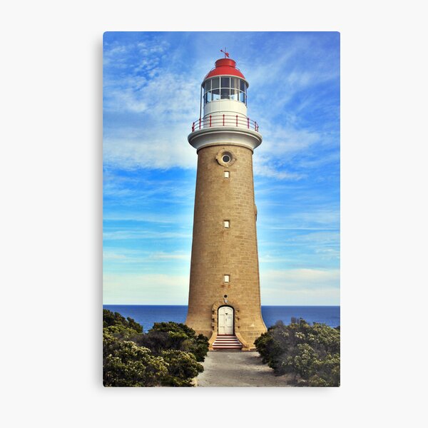 Metal Print