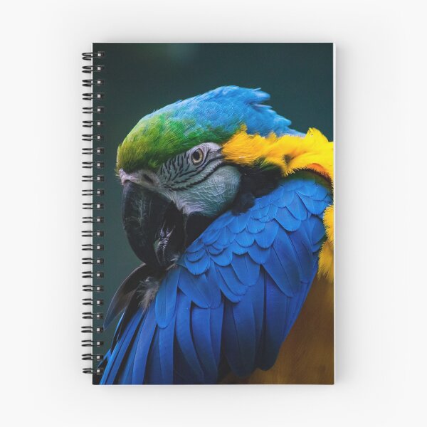 Artikelvorschau, Blauer und gelber Macaw entworfen und verkauft von bittervictory.