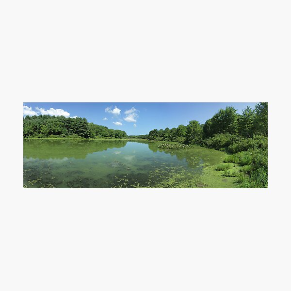 Frances Slocum Lake (Northeast Shore) Photographic Print