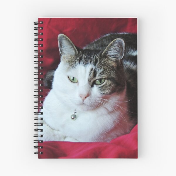 Item preview, I Always Sleep on Red Satin designed and sold by Alexandra Lavizzari.