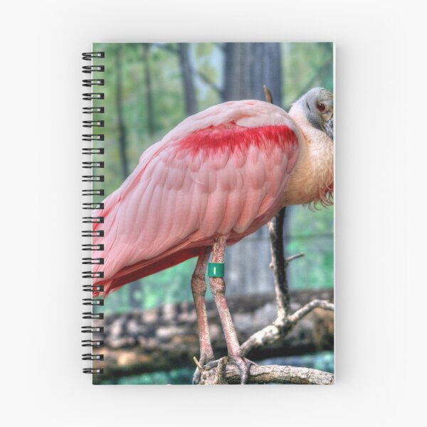 Item preview, Roseate Spoonbill designed and sold by Larry Trupp.