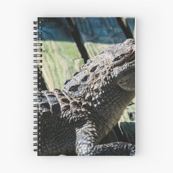 Item preview, Alligator 2 designed and sold by KensLensDesigns.