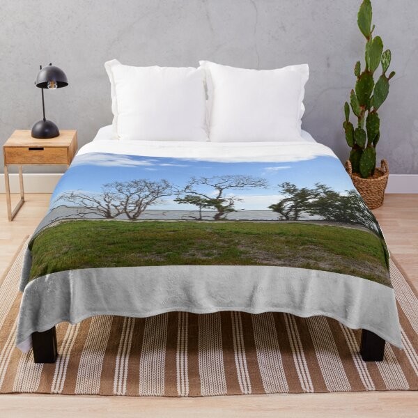Item preview, Everglades National Park, Florida designed and sold by Mike Kunes.