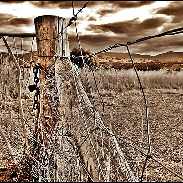 Vorschaubild zum Design Fenced In Sepia von Rinaldo Di Battista