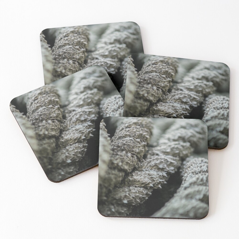 Item preview, Coasters (Set of 4) designed and sold by KensLensDesigns.
