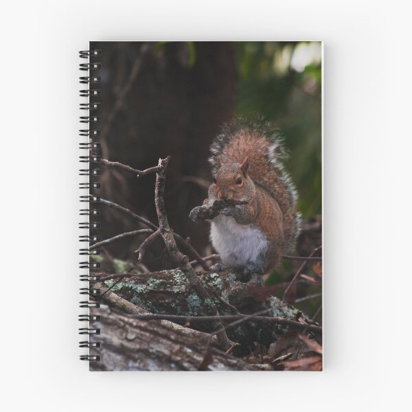 Artikelvorschau, Eichhörnchen im Wald entworfen und verkauft von bittervictory.