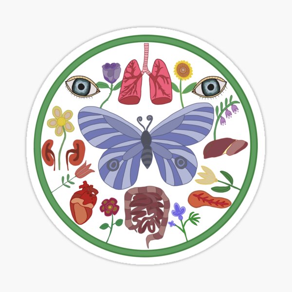 Donate Life Folk Art Amish Hex Butterfly Sticker
