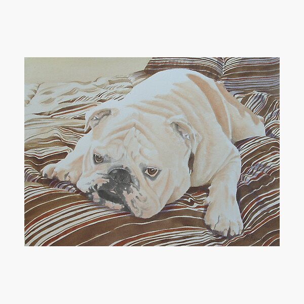Artikel-Vorschau von Elch die britische Bulldogge, designt und verkauft von FranEvans.
