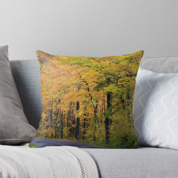 Item preview, Killbear - Ontario - Canada designed and sold by Dave Law.