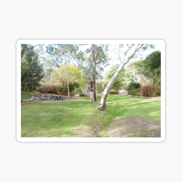 Item preview, From the Bottom of the Steps! Remnant Native Bush Park, Tea Tree Gully, South Australia.  designed and sold by RitaBlom.