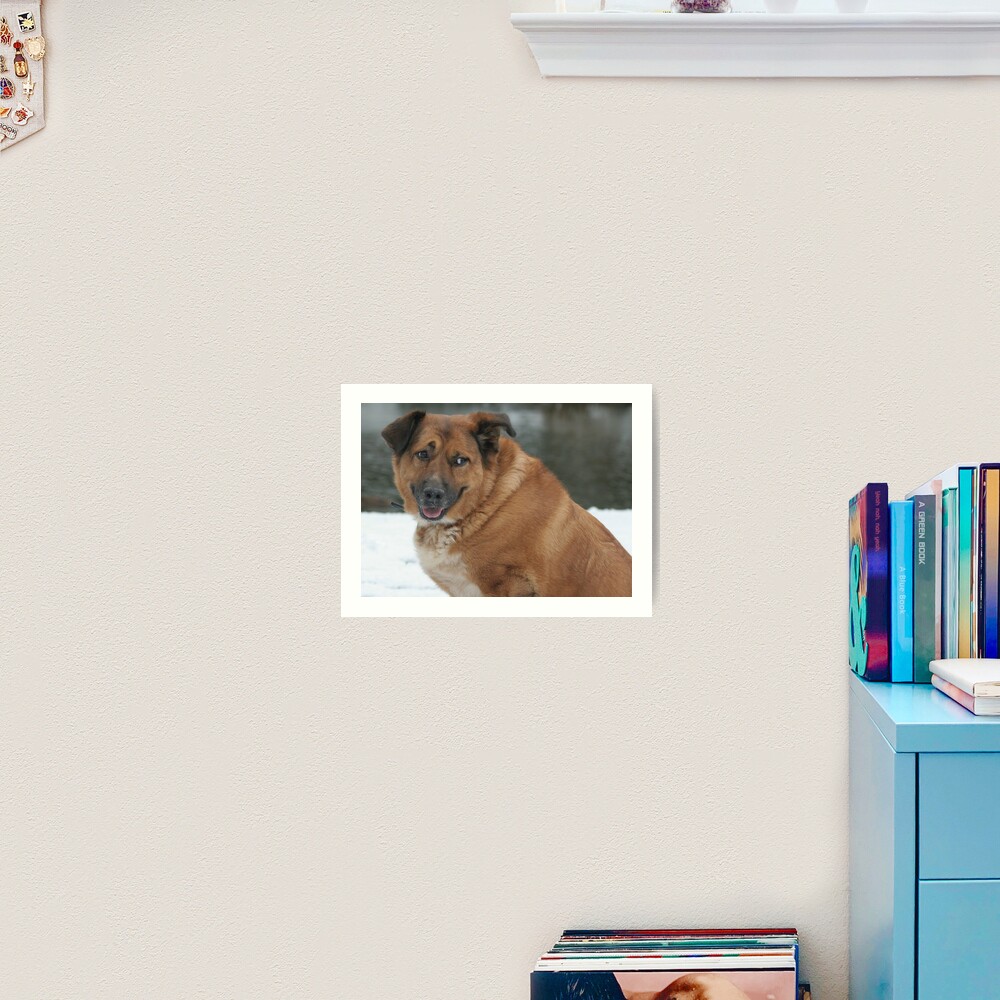 My dog Charlie 1 Art Print