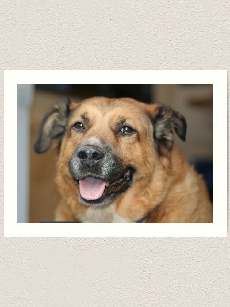 Alternate view of My dog Charlie 2 Art Print