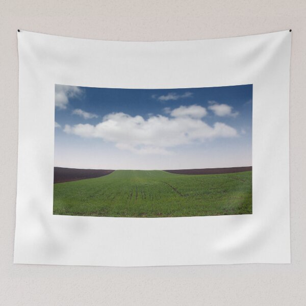 Item preview, Plowed and green wheat field in spring landscape agriculture  designed and sold by goceris.