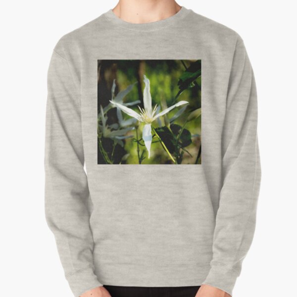 Common White Clematis (Clematis pubescent Hueg) Pullover Sweatshirt