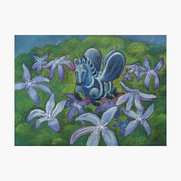 Joyful to bee a horse Photographic Print