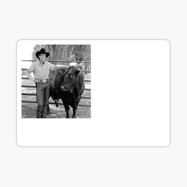 Lane Frost Stickers | Redbubble