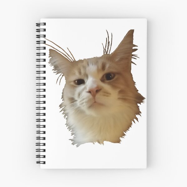 Aperçu de l'œuvre Chat de maincoon rouge semble arrogant créée et vendue par Hilbert72.