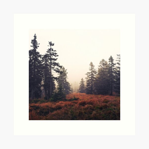 Item preview, You Are Here // Wild Romantic Misty Fairytale Wilderness Forest With Cascadia Trees Covered In Magic Foggy Sunlight designed and sold by Tordis Kayma.