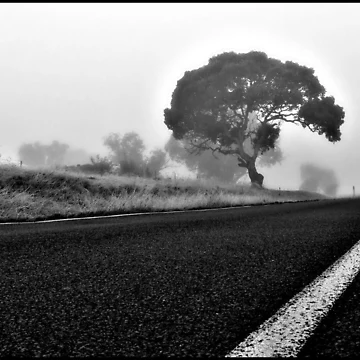 Artwork thumbnail, Distant View by Rinaldo Di Battista