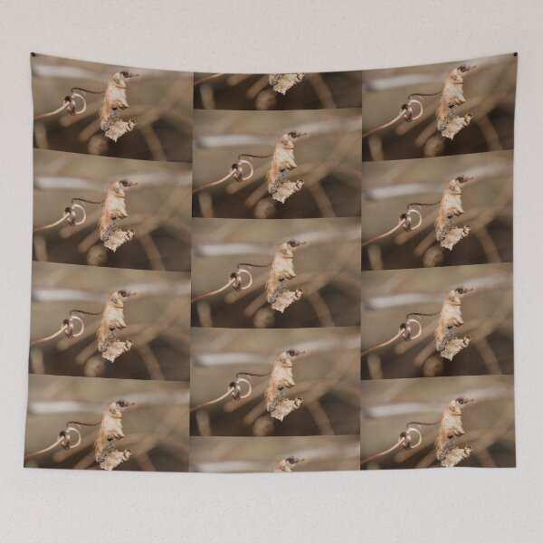 Item preview, curly leaf designed and sold by KensLensDesigns.