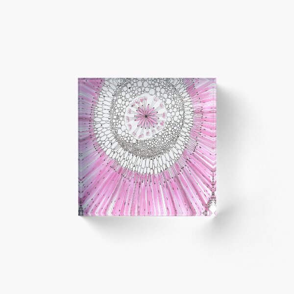 Acrylic Block