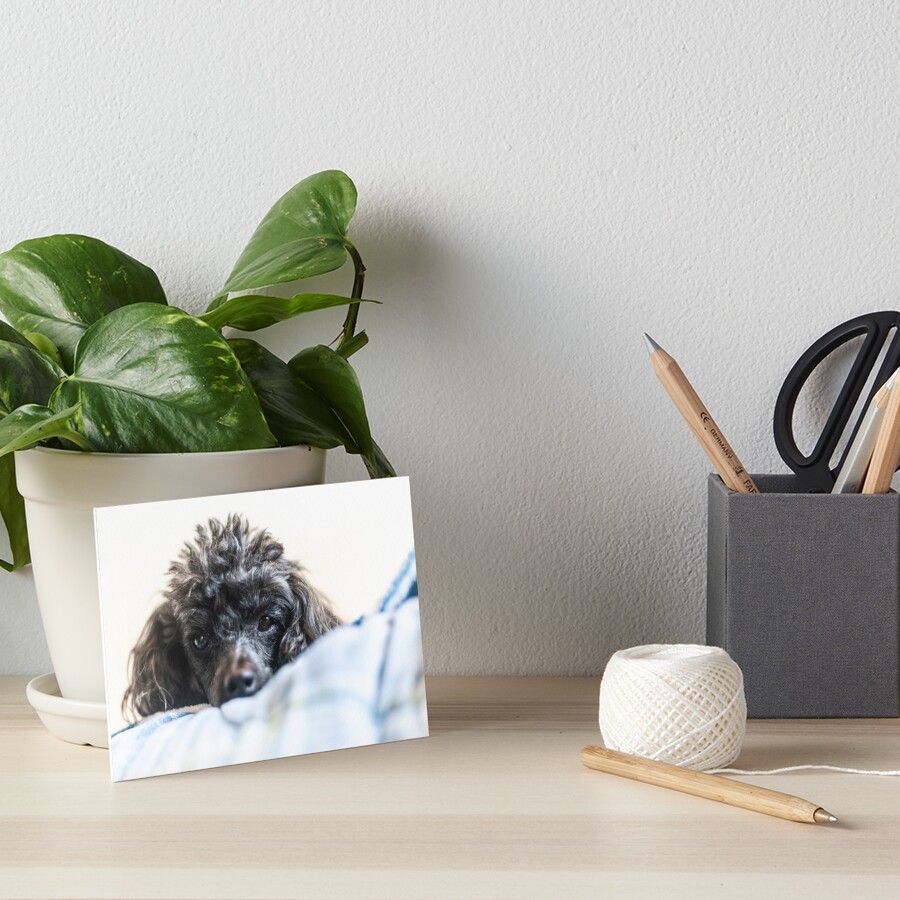 Item preview, Art Board Print designed and sold by KensLensDesigns.