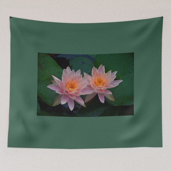 Aperçu de l'œuvre Vietnam. Hue. Water Lilies. créée et vendue par vadim19.