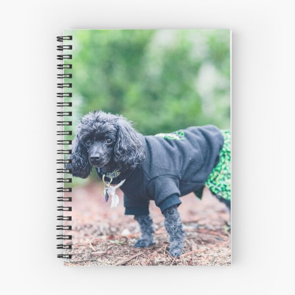 Item preview, Black and grey poodles designed and sold by KensLensDesigns.