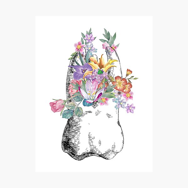 Human tooth, watercolor tooth, tooth, dental print Photographic Print