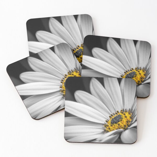 Item preview, African Daisy 3 designed and sold by Nigel R Bell Photography.