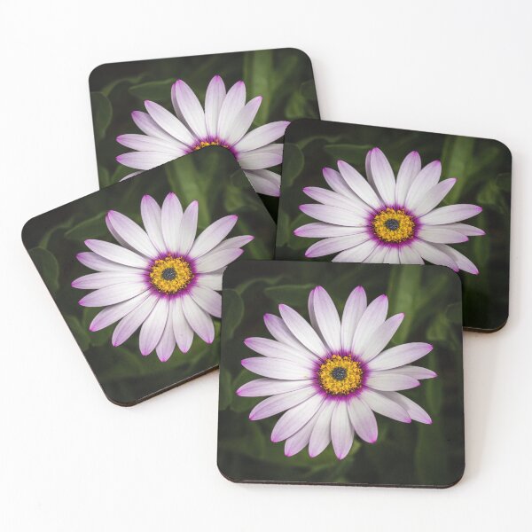 Item preview, African Daisy 2 designed and sold by Nigel R Bell Photography.
