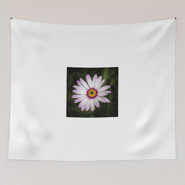 Item preview, African Daisy 2 designed and sold by Nigel R Bell Photography.