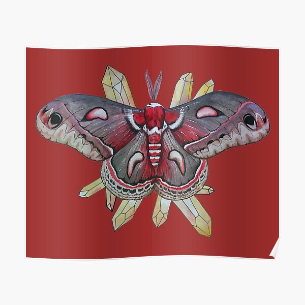 Cecropia Moth and Citrine Crystals, Watercolor Hyalophora cecropia Poster
