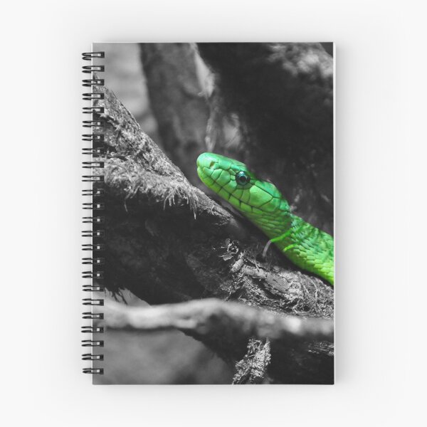 Item preview, Green snake designed and sold by Johan Dahlberg.