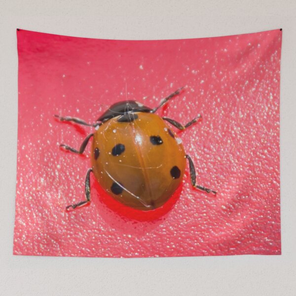 Item preview, Lady Bug on a Red Background Macro Photograph designed and sold by Jon Shore.