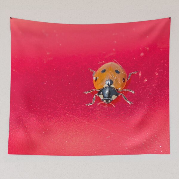 Item preview, Lady Bug on a Red Background Macro Photograph designed and sold by Jon Shore.