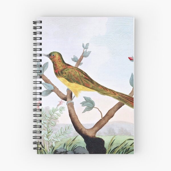 Item preview, Cupreous Cuckoo Bird Illustration designed and sold by goldenmenagerie.