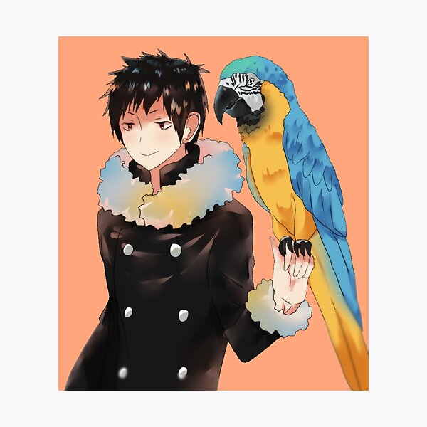 Aperçu de l'œuvre Izaya et perroquet créée et vendue par Mikadokyun.