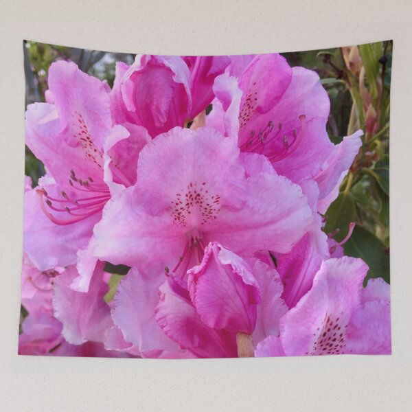 Item preview, “Pink and precious”  image  by Angela Haig-Harrison  designed and sold by Angela Haig-Harrison.