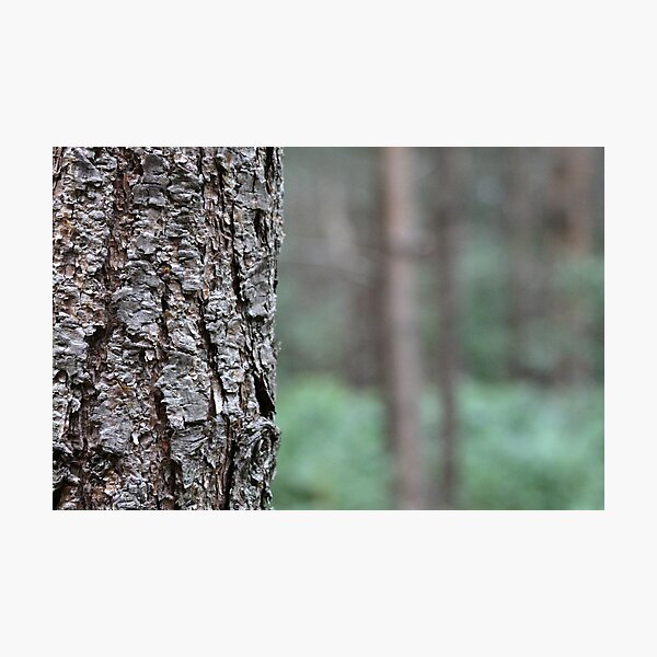 Item preview, Bark! designed and sold by Phillip Webb.