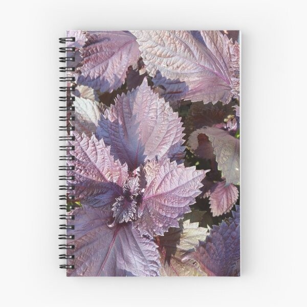 Item preview, Glorious Purple Basil designed and sold by ArtByDrax.