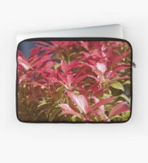 Pieris japonica Little Heath Laptop Sleeve