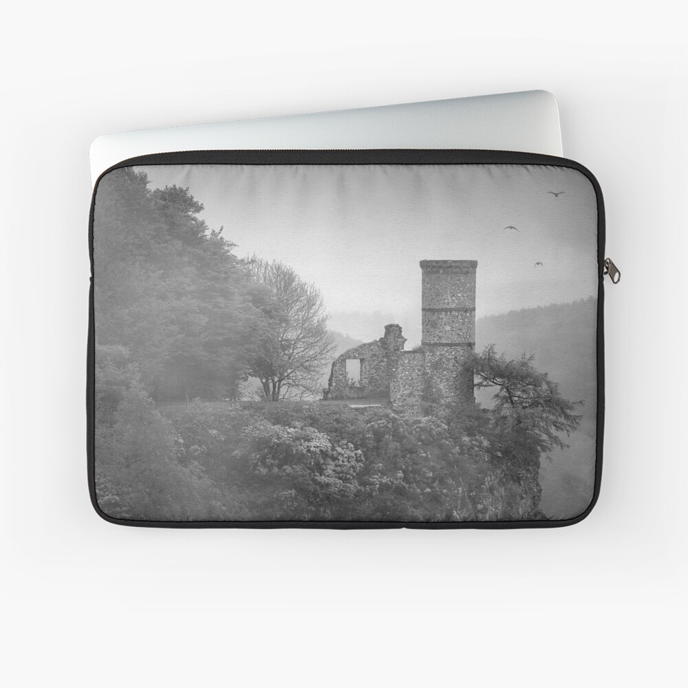 Item preview, Laptop Sleeve designed and sold by ShinyPhoto.