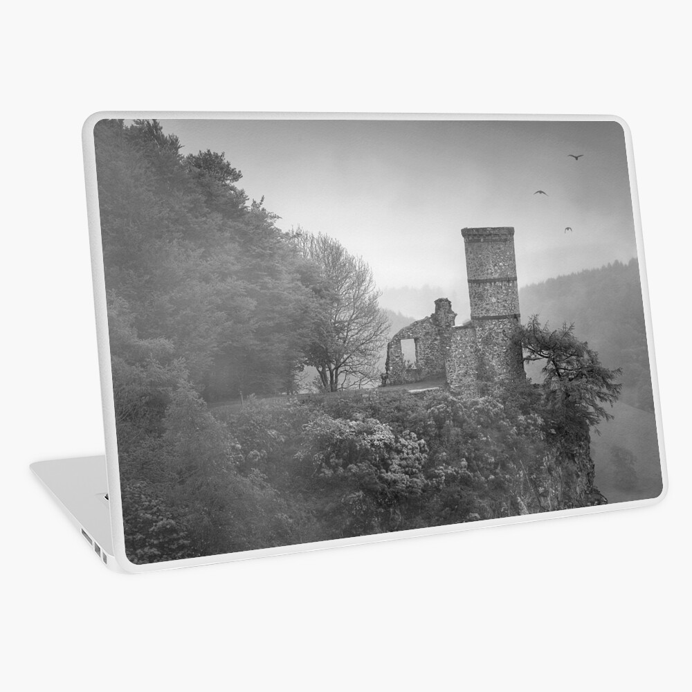 Item preview, Laptop Skin designed and sold by ShinyPhoto.